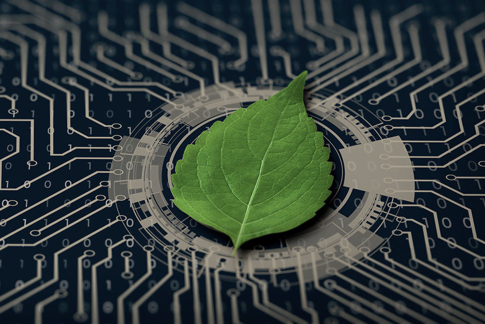 Tech for Good: 5 Ways IT Can Drive Carbon Neutrality